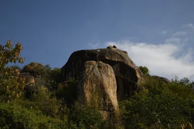 DSC_3368 (Large).JPG